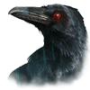 Кладбище искупления: Проклятие ворона